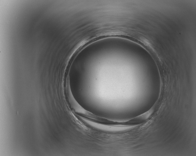 X0000061121181200511241702