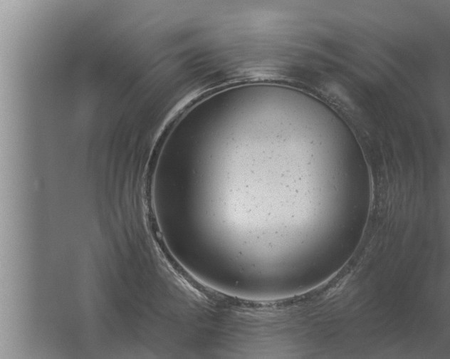 X0000061121182200511241702