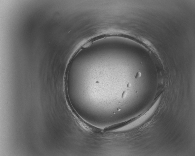 X0000061121183200511241702