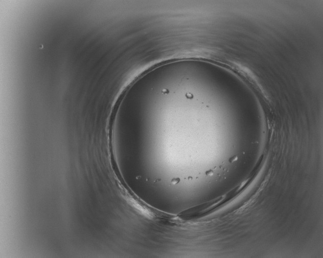 X0000061121184200511241702