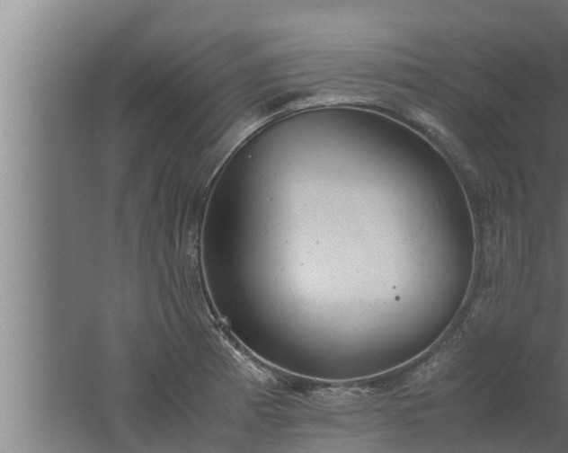 X0000061121185200511241702