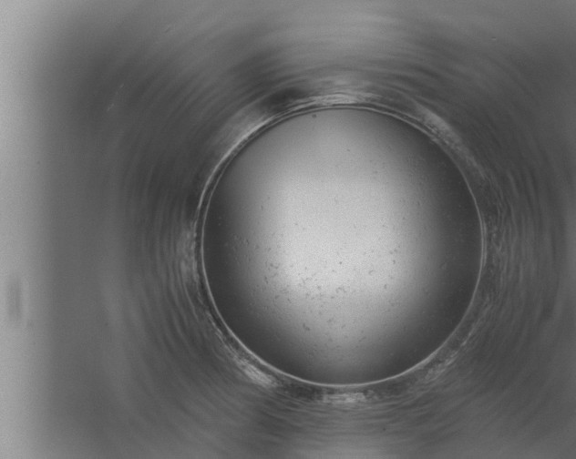 X0000061121186200511241702