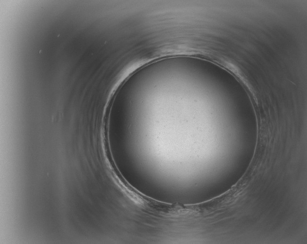 X0000061121187200511241702