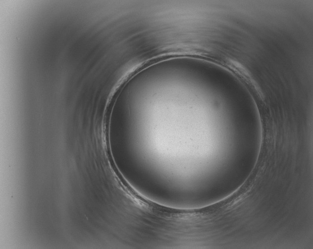 X0000061121188200511241701