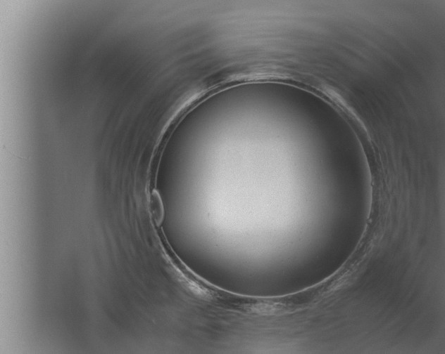 X0000061121189200511241701