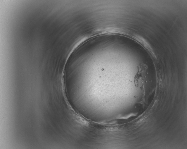 X0000061121190200511241701