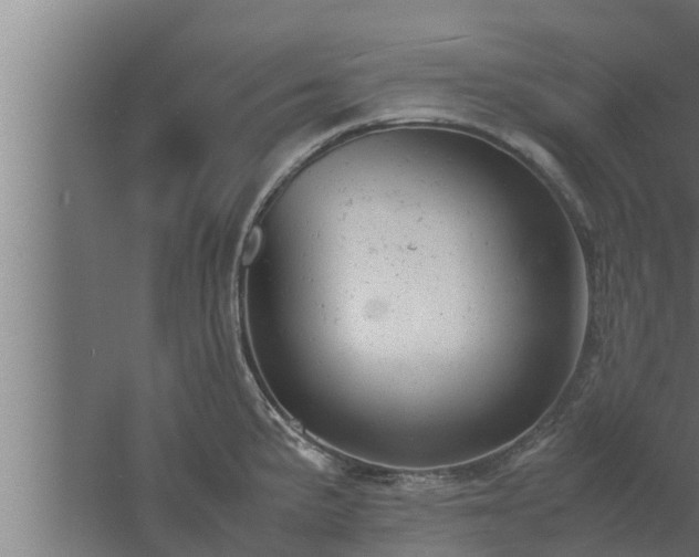 X0000061121191200511241701