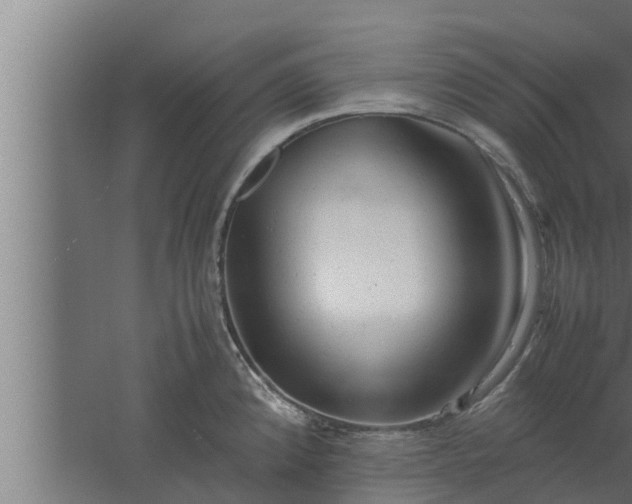 X0000061121192200511241701