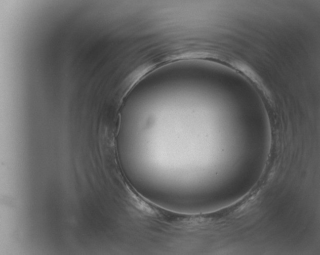 X0000061121193200511241701