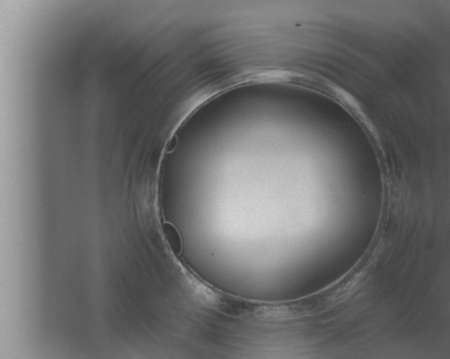 X0000061121194200511241701