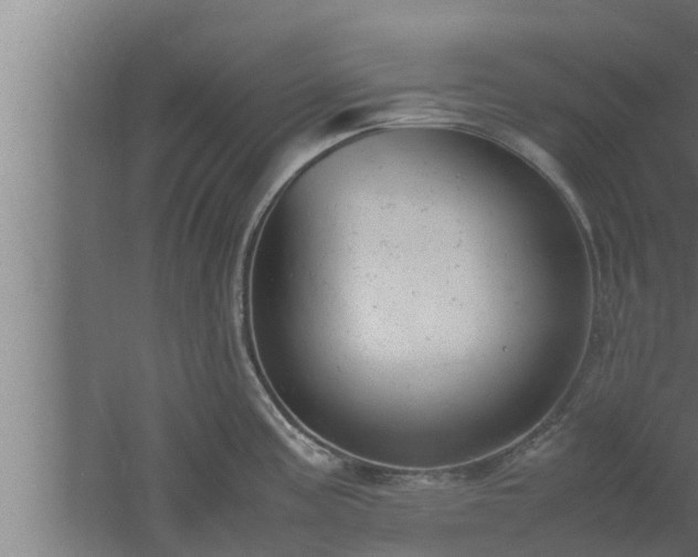 X0000061121195200511241701