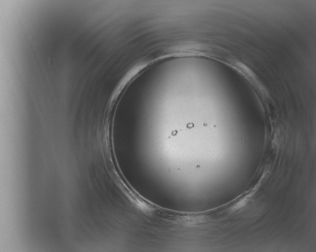 X0000061121196200511241701