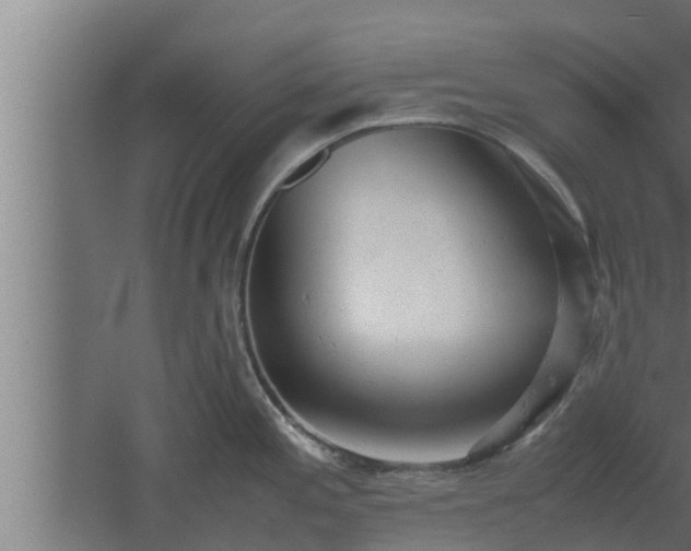 X0000061121197200511241701