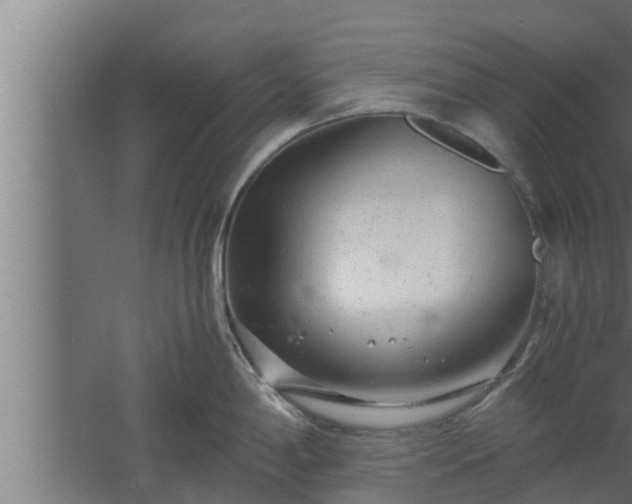 X0000061121198200511241701