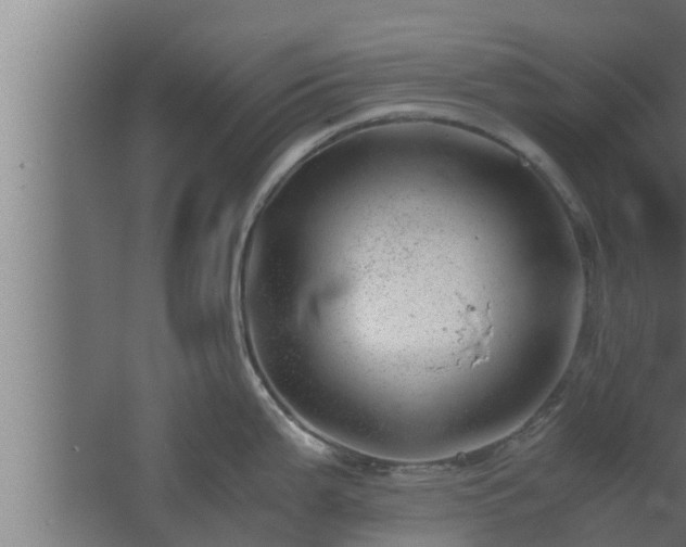 X0000061121199200511241701