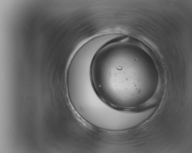 X0000061121200200511241701