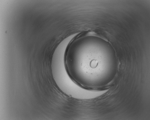 X0000061121202200511241700