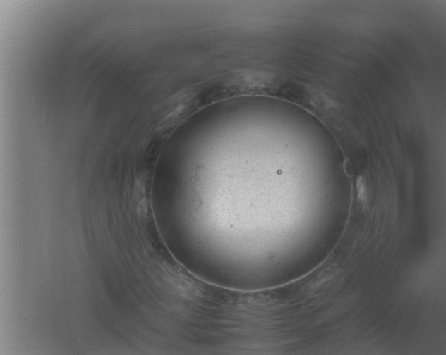 X0000061121203200511241700