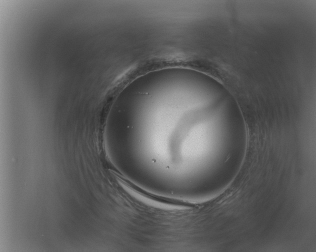 X0000061121205200511241701