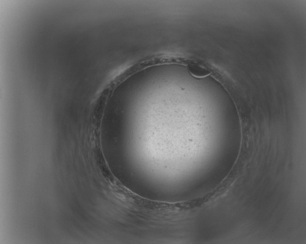 X0000061121207200511241701