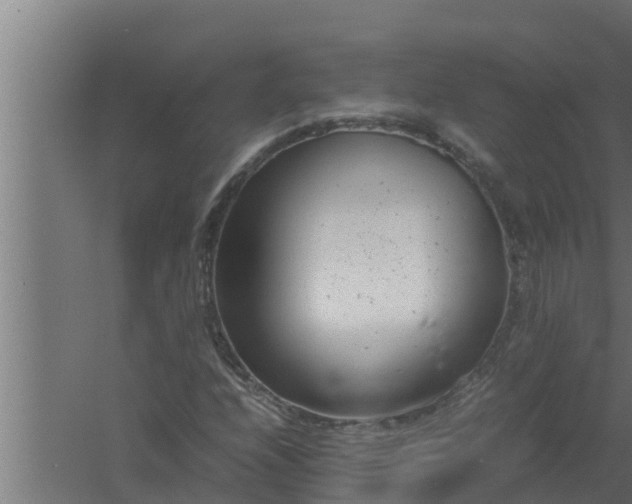 X0000061121208200511241701