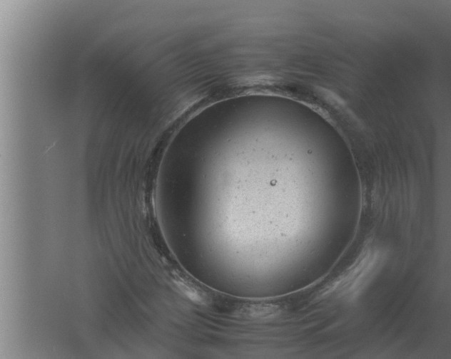 X0000061121209200511241701