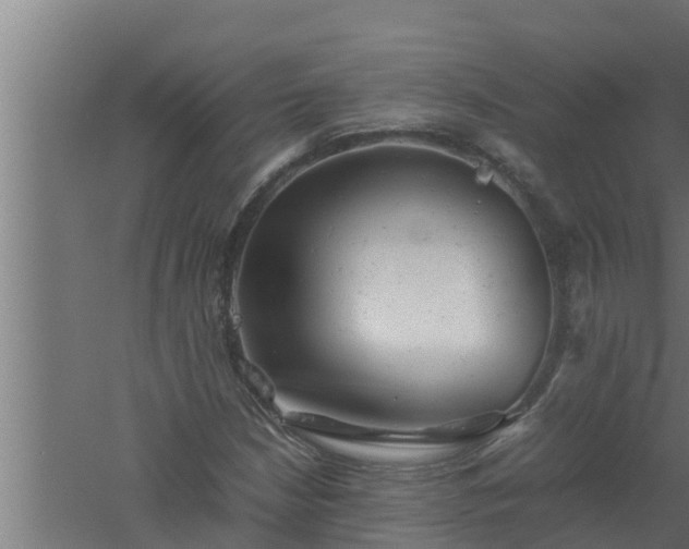 X0000061121210200511241701