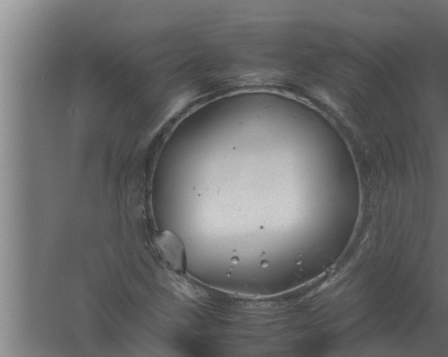 X0000061121211200511241701