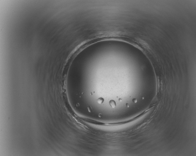 X0000061121212200511241701