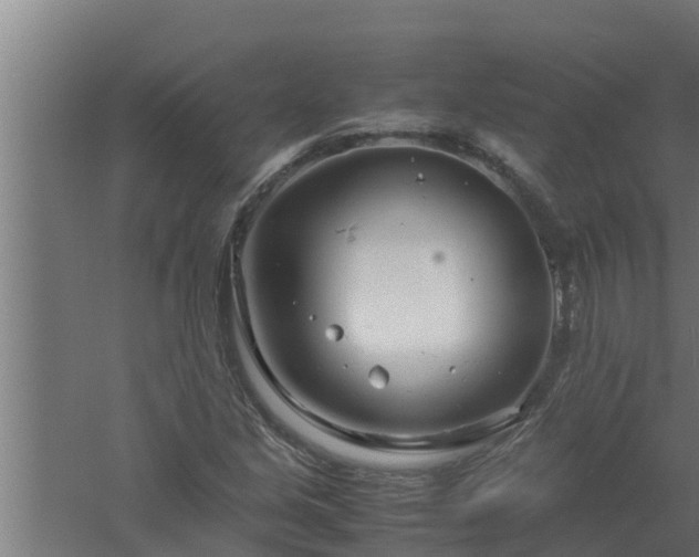 X0000061121213200511241701