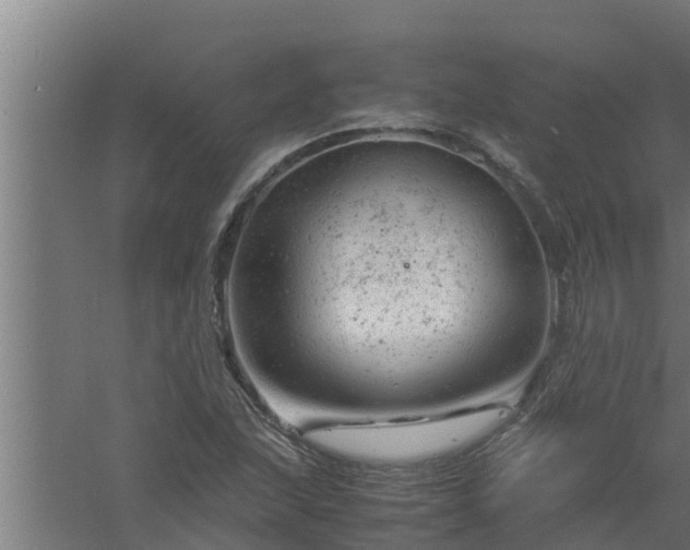 X0000061121215200511241701