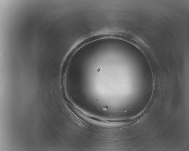 X0000061121216200511241701