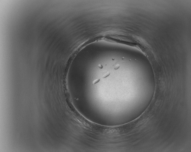 X0000061121217200511241701