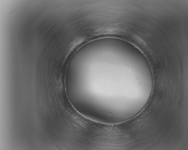 X0000061121218200511241701