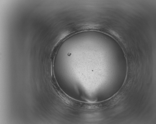 X0000061121219200511241701