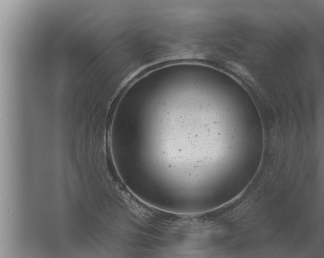 X0000061121220200511241701