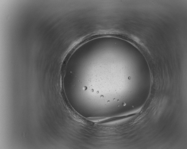 X0000061121221200511241701