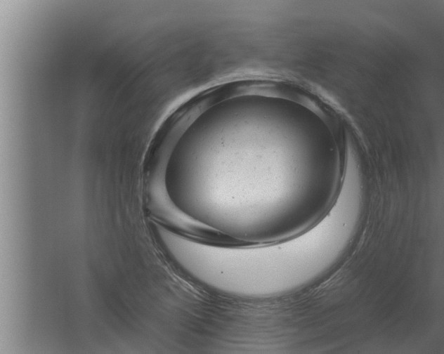 X0000061121222200511241701