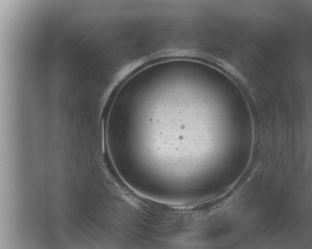 X0000061121223200511241701