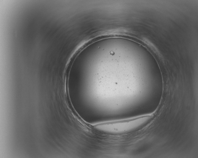 X0000061121224200511241701