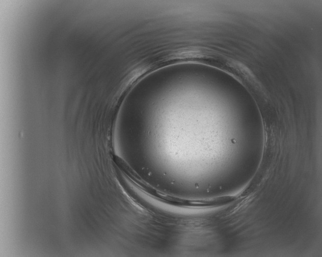 X0000061121225200511241701