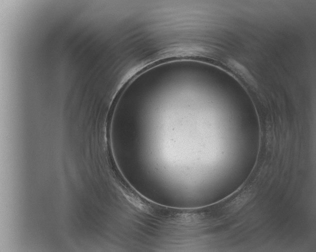 X0000061121226200511241701