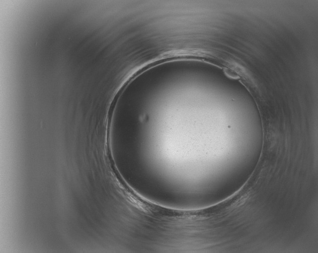 X0000061121228200511241701