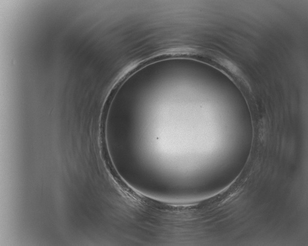 X0000061121229200511241701