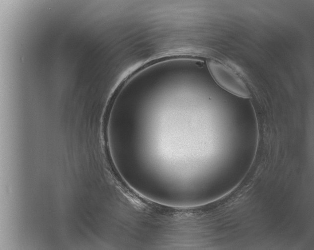 X0000061121230200511241701