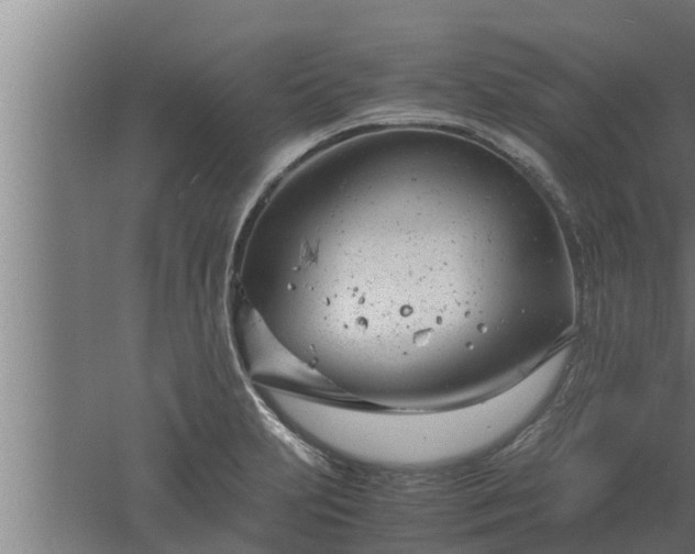 X0000061121231200511241701