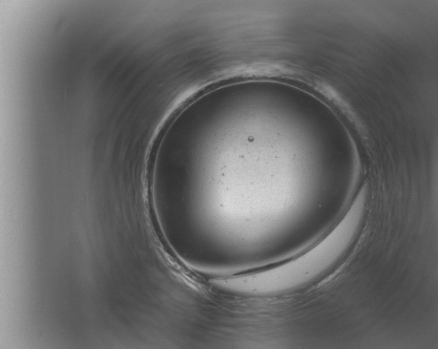 X0000061121232200511241701