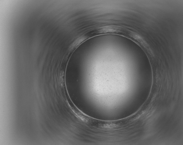 X0000061121233200511241701