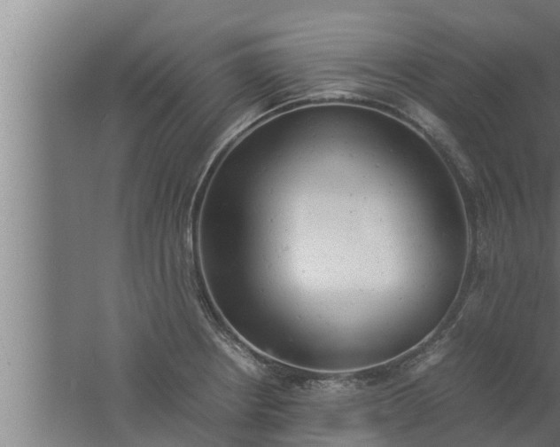 X0000061121234200511241701