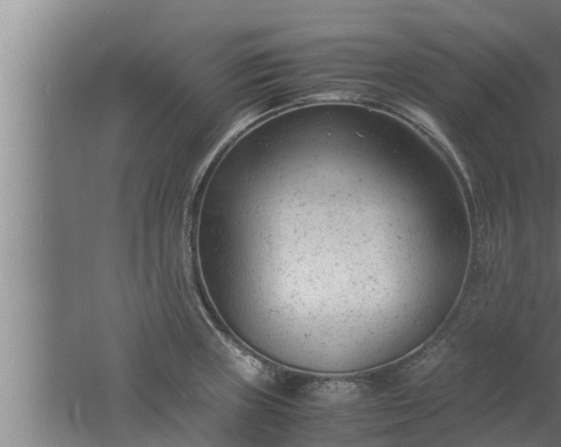 X0000061121235200511241701